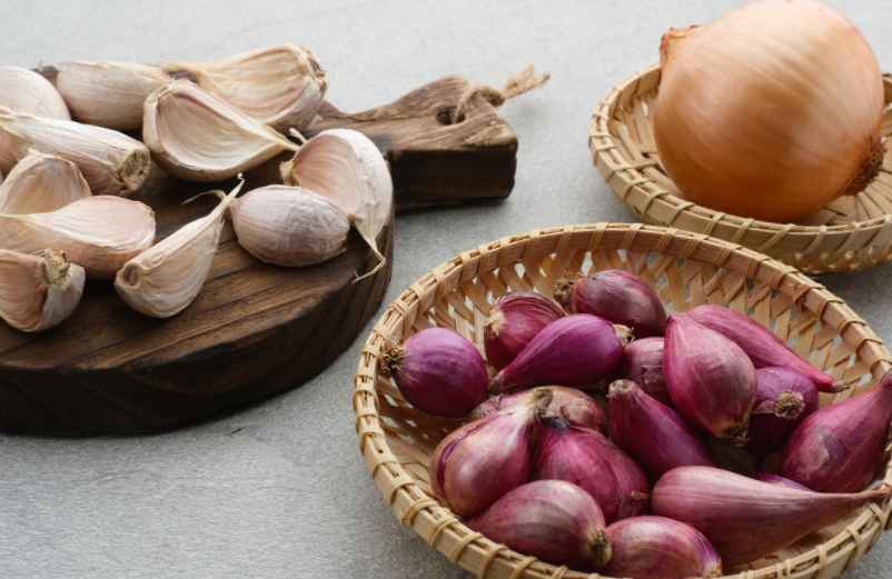 Comment utiliser l’ail ou l’oignon pour traiter ou soulager l’otite ?