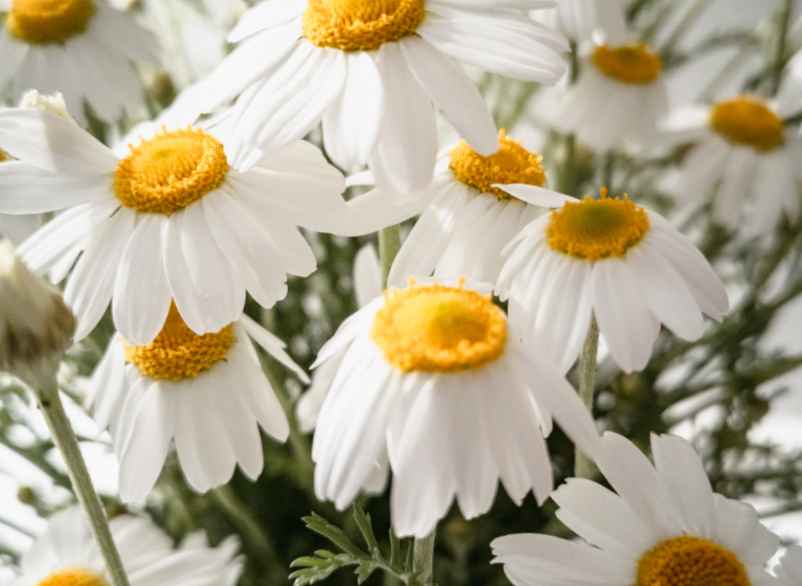 Otite chez l’enfant