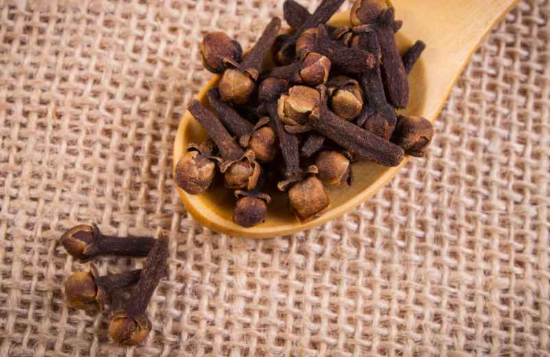 Le clou de girofle avec son pouvoir répulsif