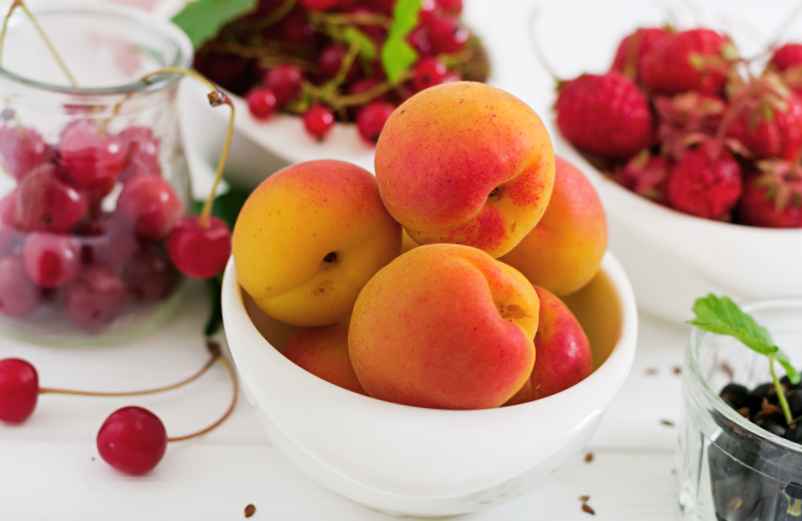 Mettre les fibres au cœur de son alimentation-Angiotech