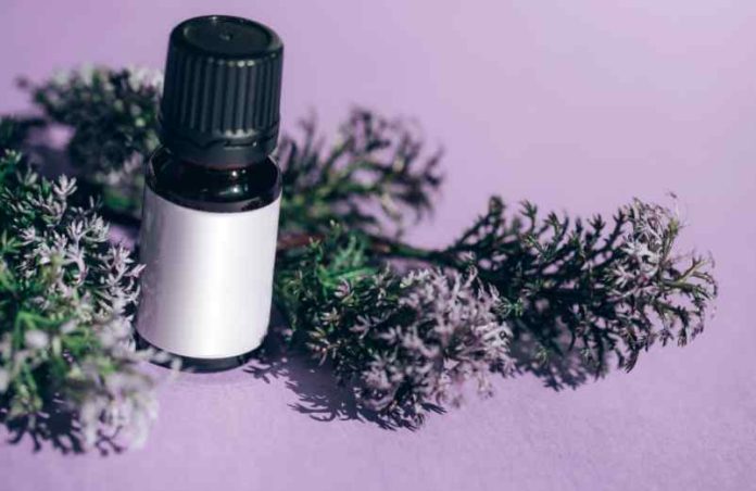 Huiles essentielles et circulation : quelle efficacité réelle ? Angiotech Huiles essentielles et circulation : quelle efficacité réelle ? Angiotech