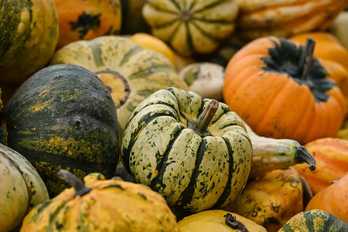 Hands peeling a pumpkin on a clean kitchen table, with peeled pumpkin cubes in a bowl and a butcher's knife nearby