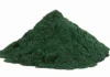Spiruline : bienfaits, composition et mode d’emploi Spiruline : bienfaits, composition et mode d'emploi