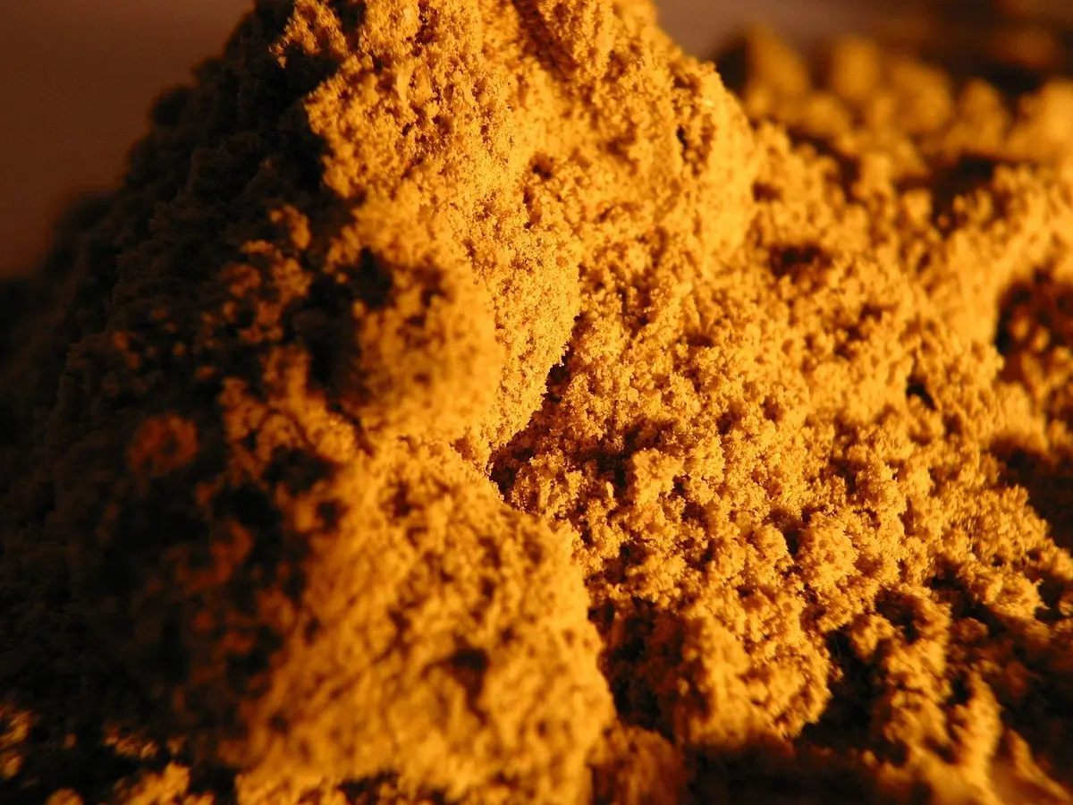 Close-up of a small wooden bowl filled with green spirulina powder next to a wooden spoon and scattered powder on a light surface